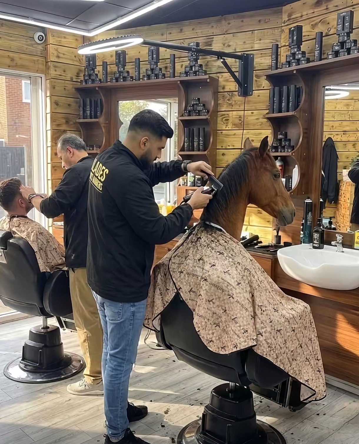 Horse getting a fresh cut at the barber