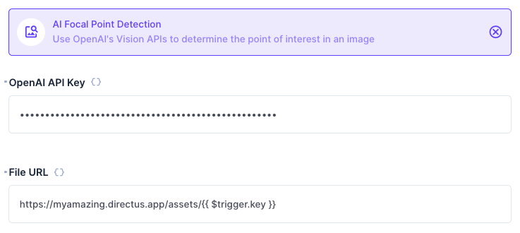 The AI Focal Point Detection operation, showing an Openai API Key field and a File URL field.