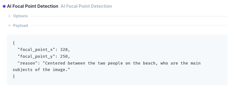 The output showing a JSON object containing a a flocal_point_x, focal_point_y, and reason parameter.