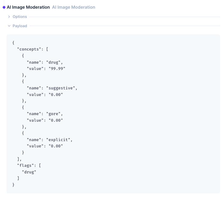 The output showing a JSON object containing a list of conecpts with values, and an array of flagged concepts.