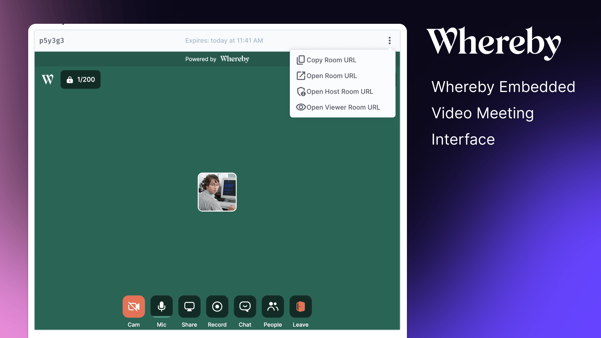 Whereby Interface Preview