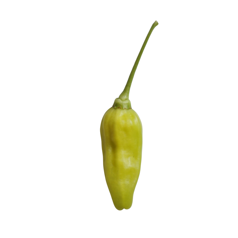 Cabe