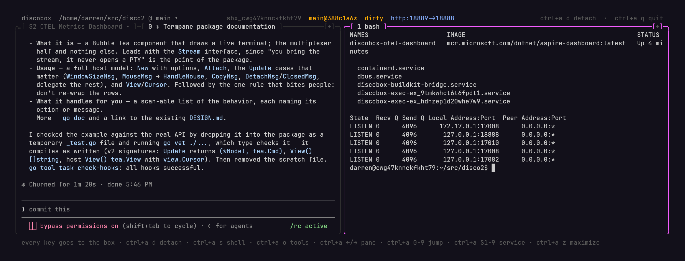 Discobox with an agent terminal, a shell, services, and forwarded ports