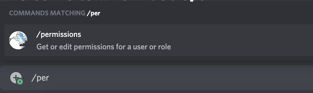A slash command with its parameters in the chat input