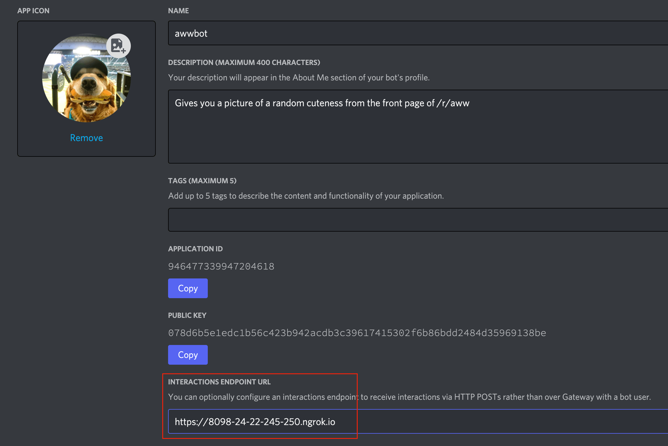 The Interactions Endpoint URL field in the Developer Portal