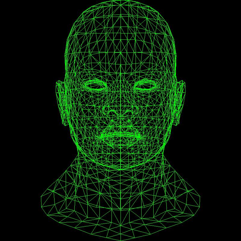 head_wireframe