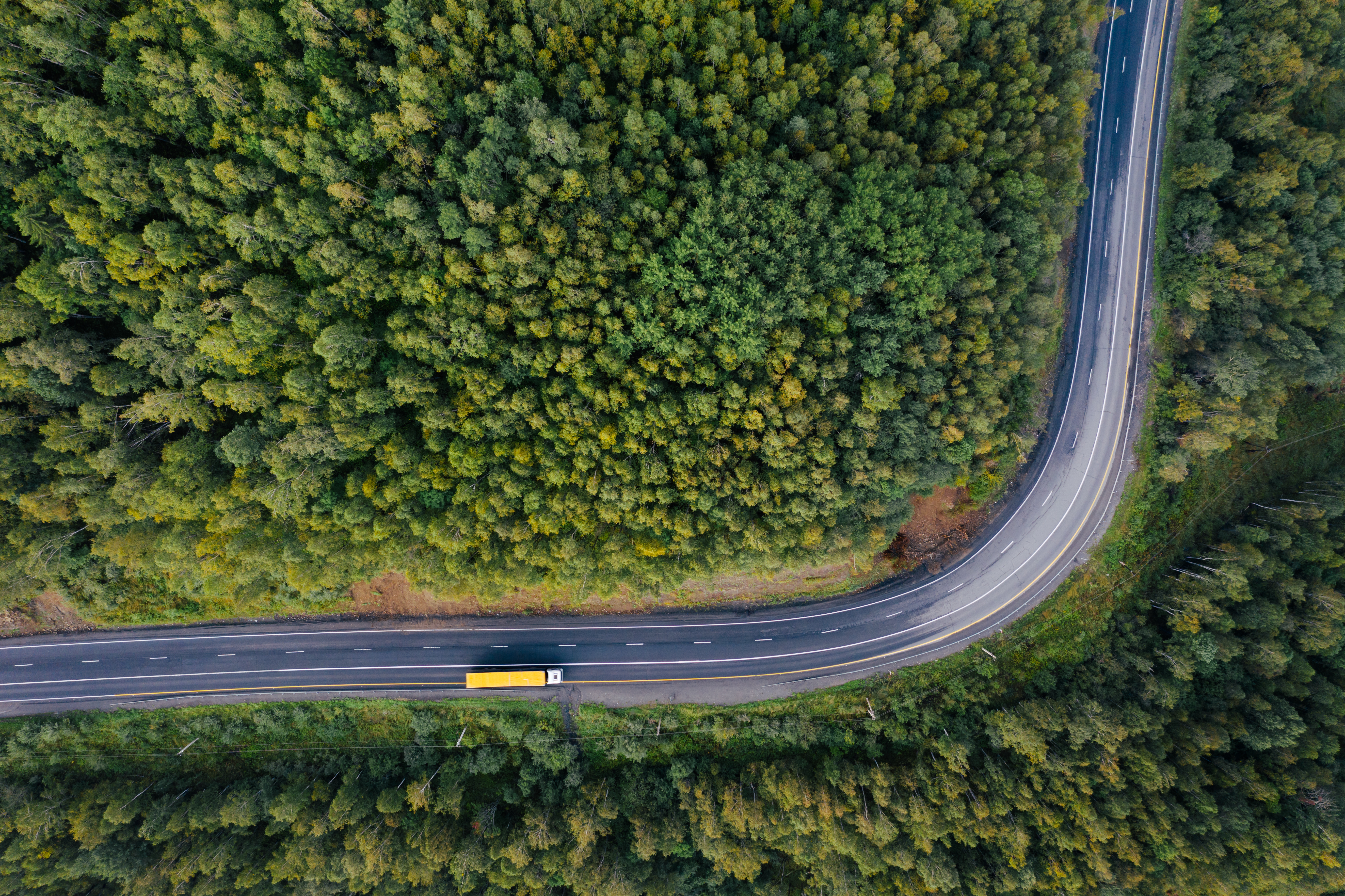 aerial view of a truck driving on a road through a forest