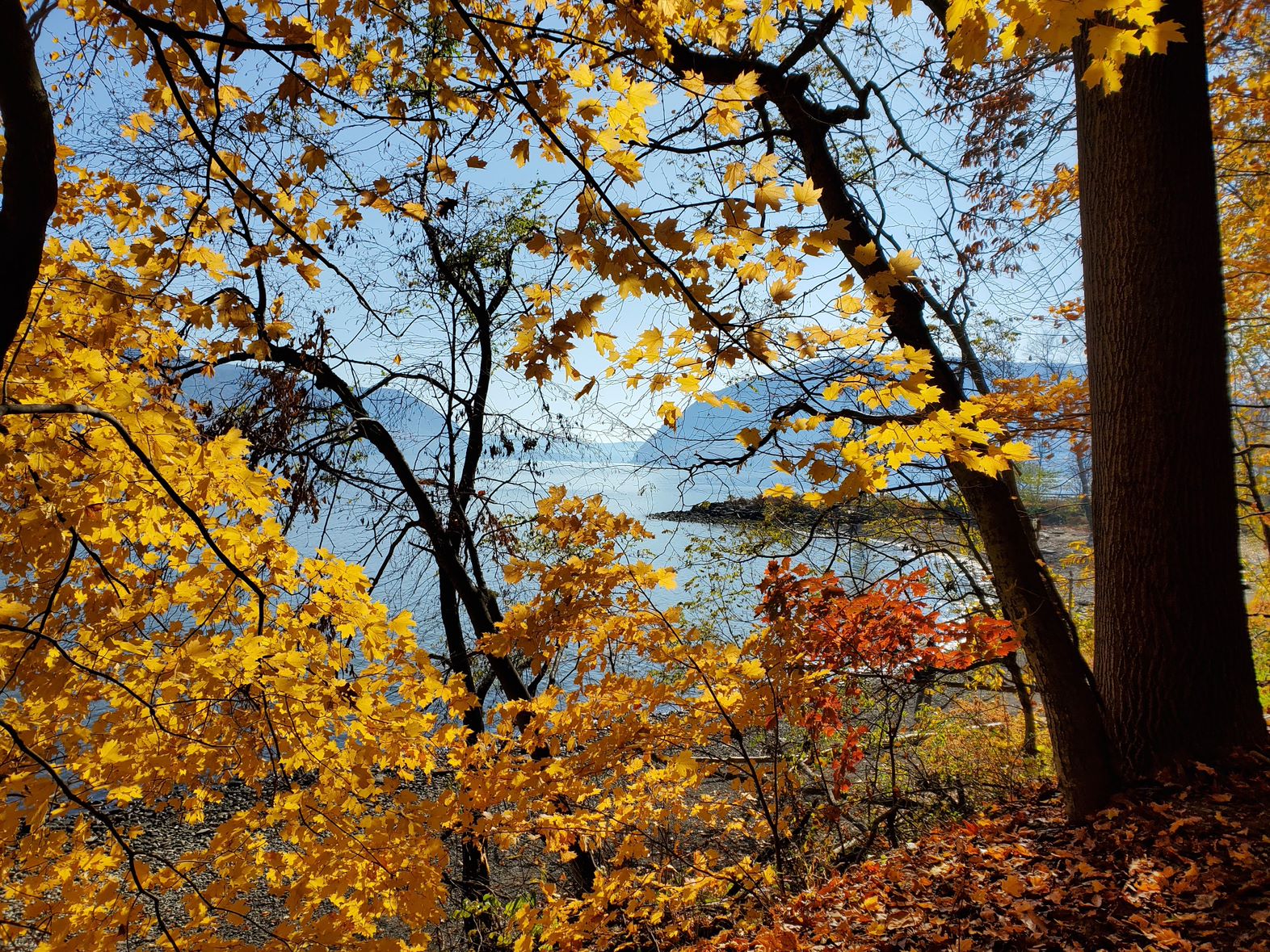 Autumn in New York