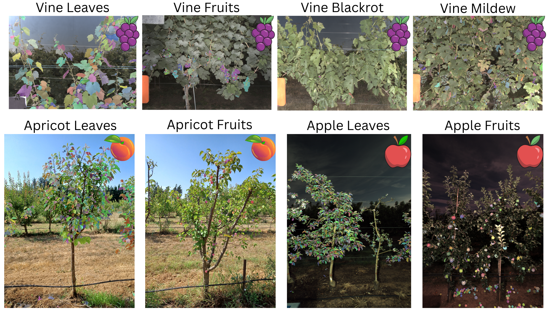 FrontVeg V2 Segmentation Examples Grid