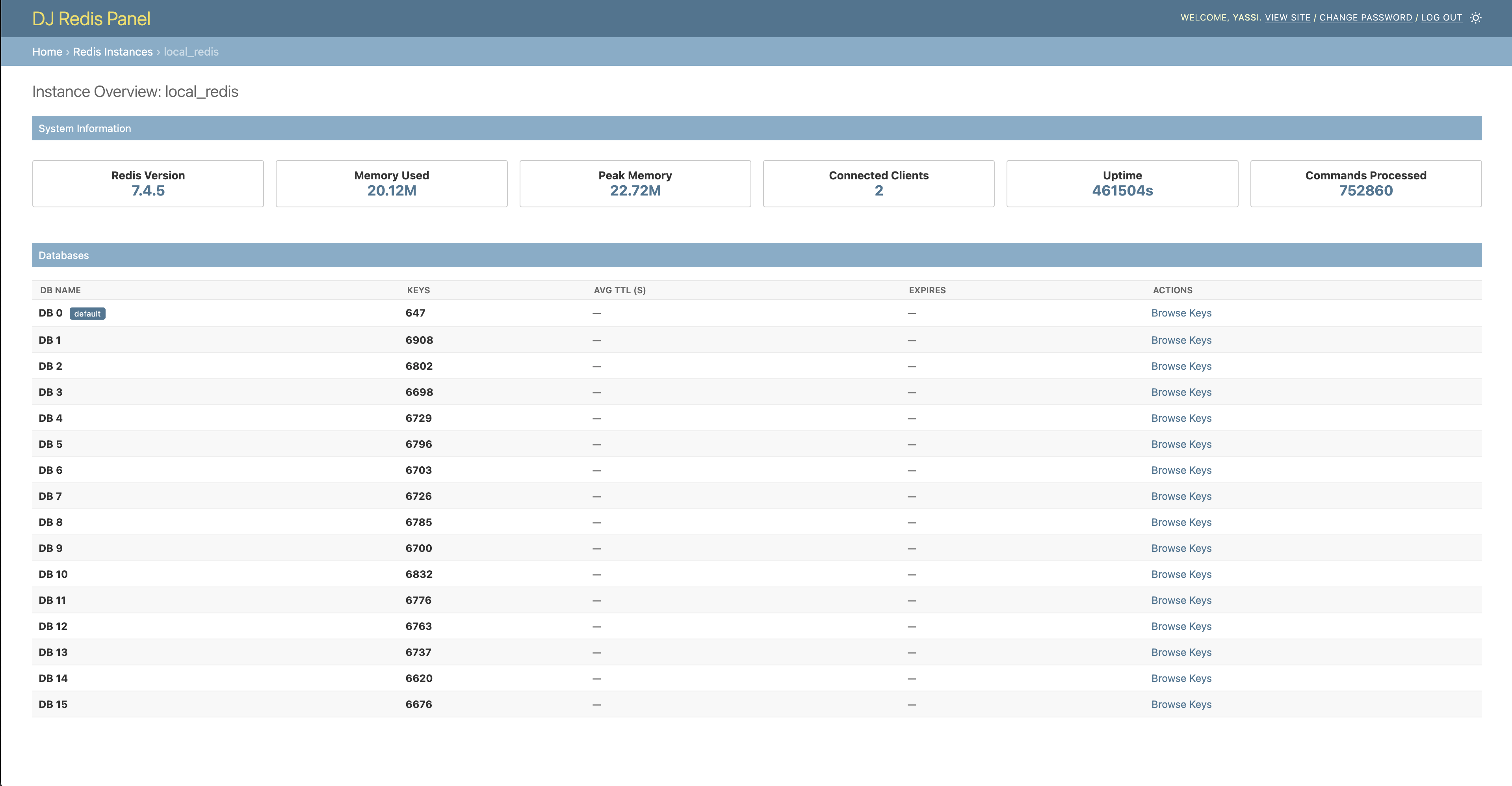 Instance Overview