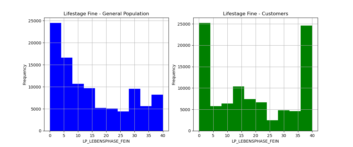 lifestage fine