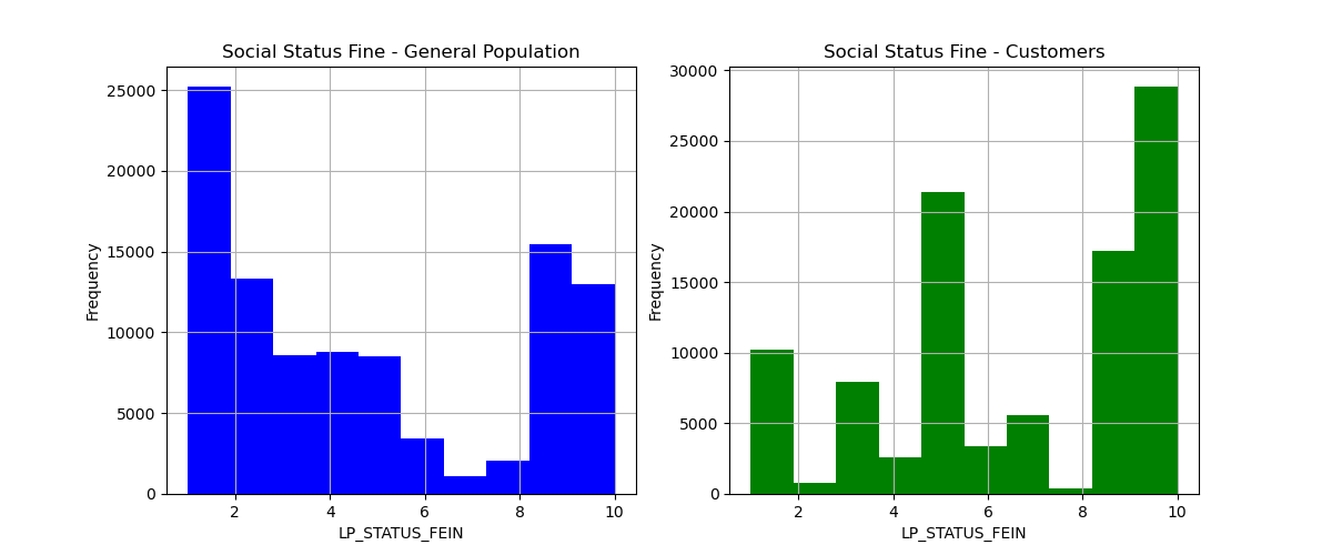 social status fine