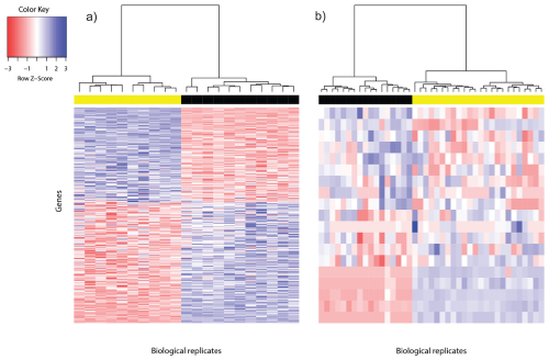 Rna-Seq Example