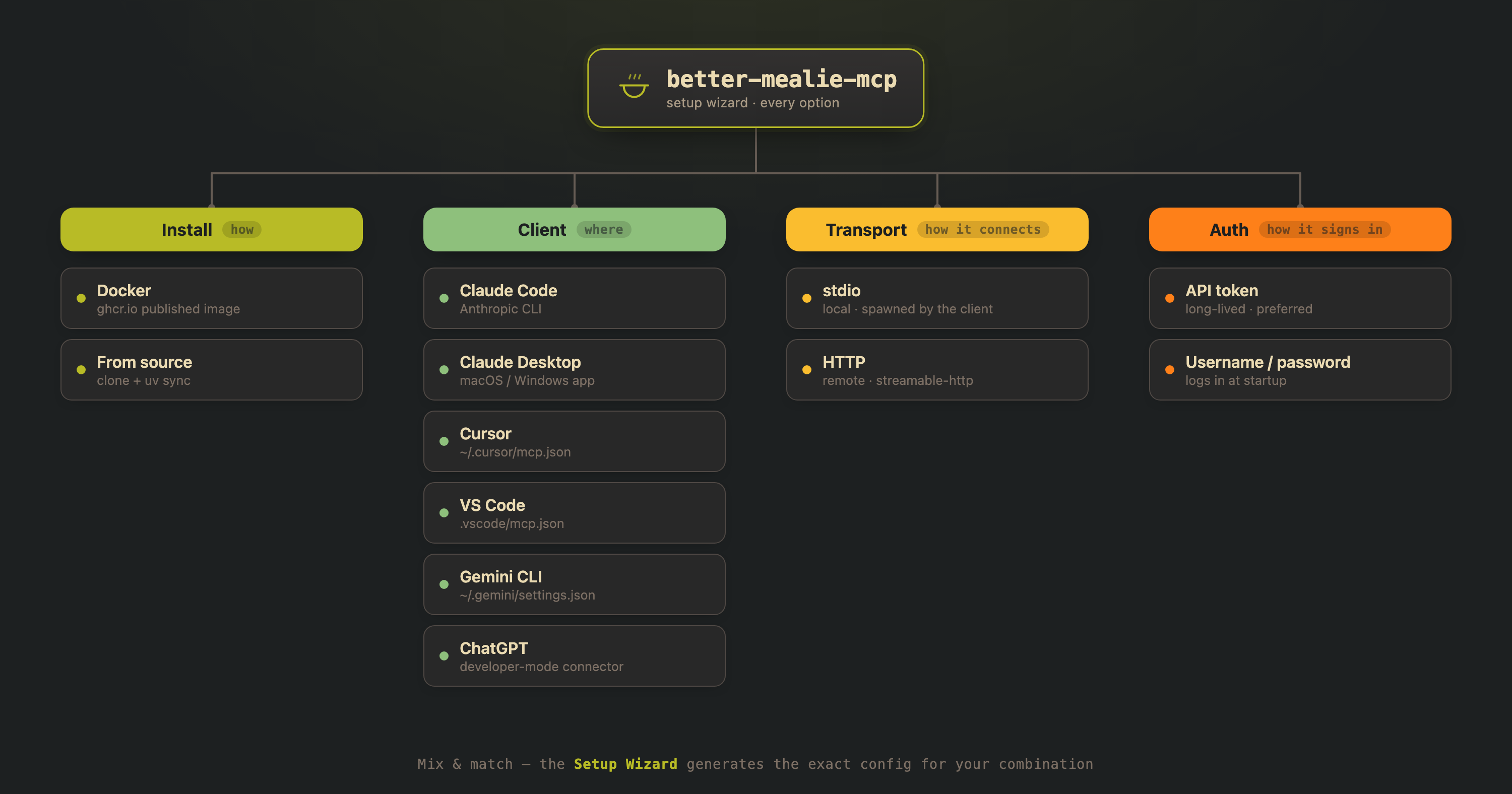Setup options — Install, Client, Transport, Auth