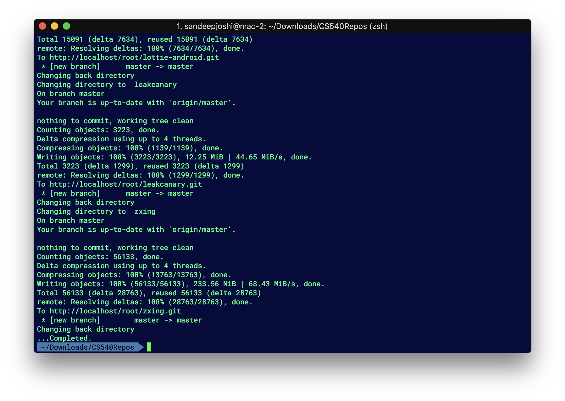 repo_fetch