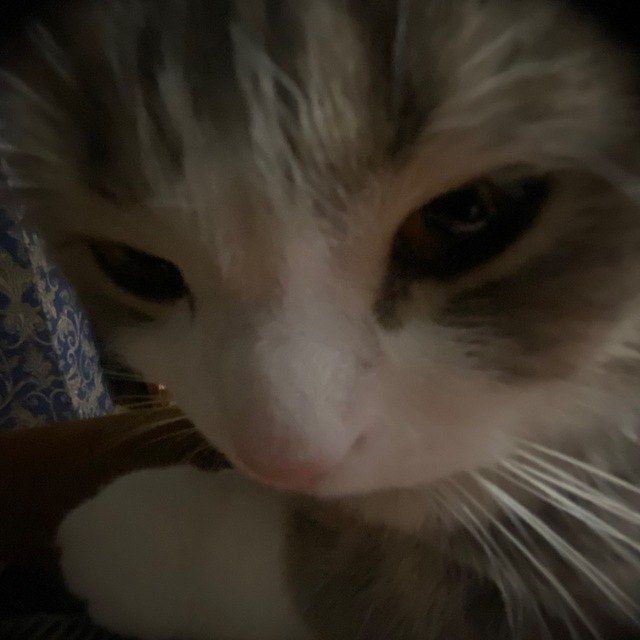 random person's Slack avatar