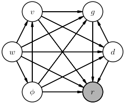 Projectile fully connected