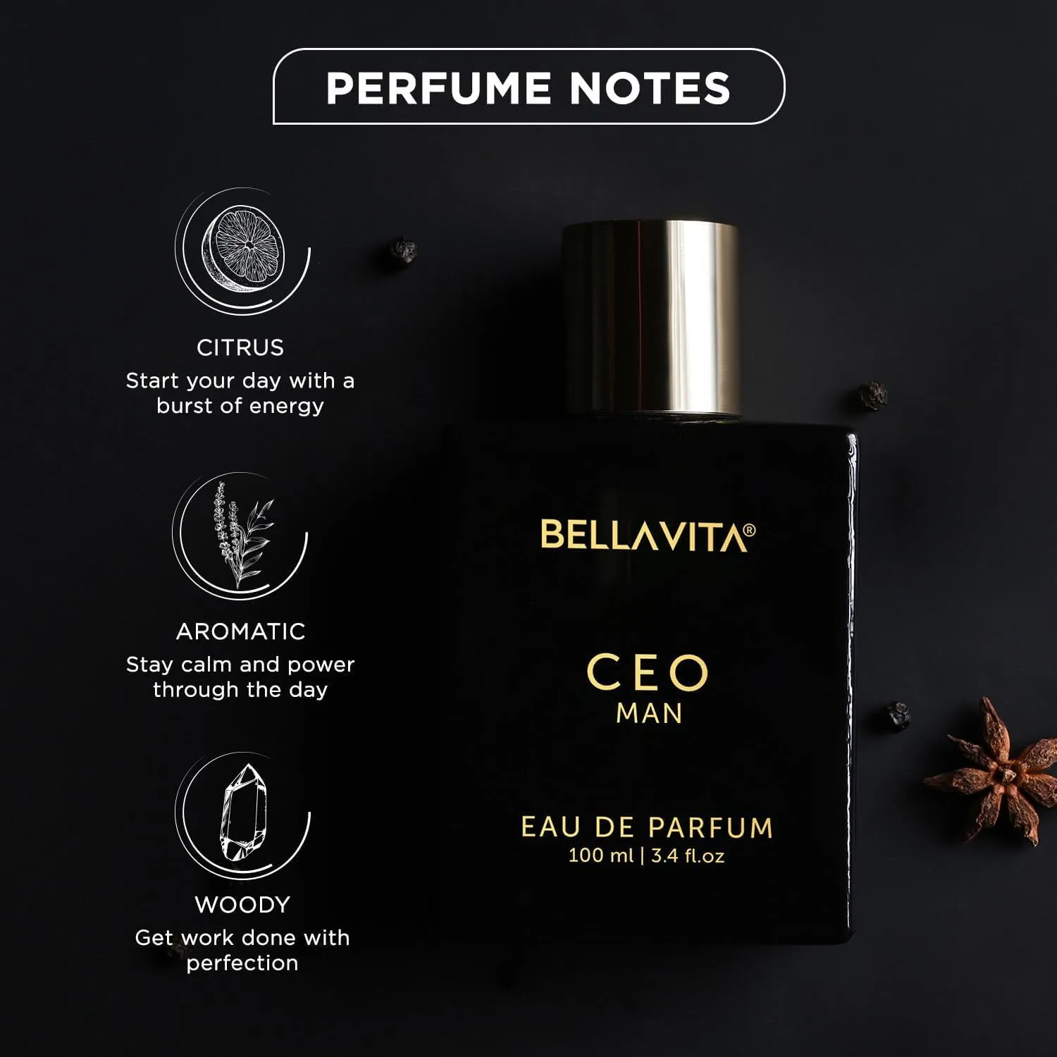 Bella Vita Luxury CEO MAN Perfume Cap