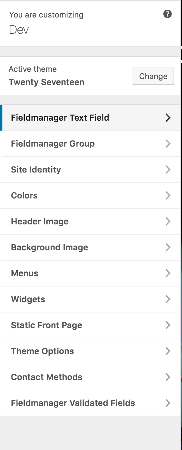 Fieldmanager mingling with other sections in the Customizer.