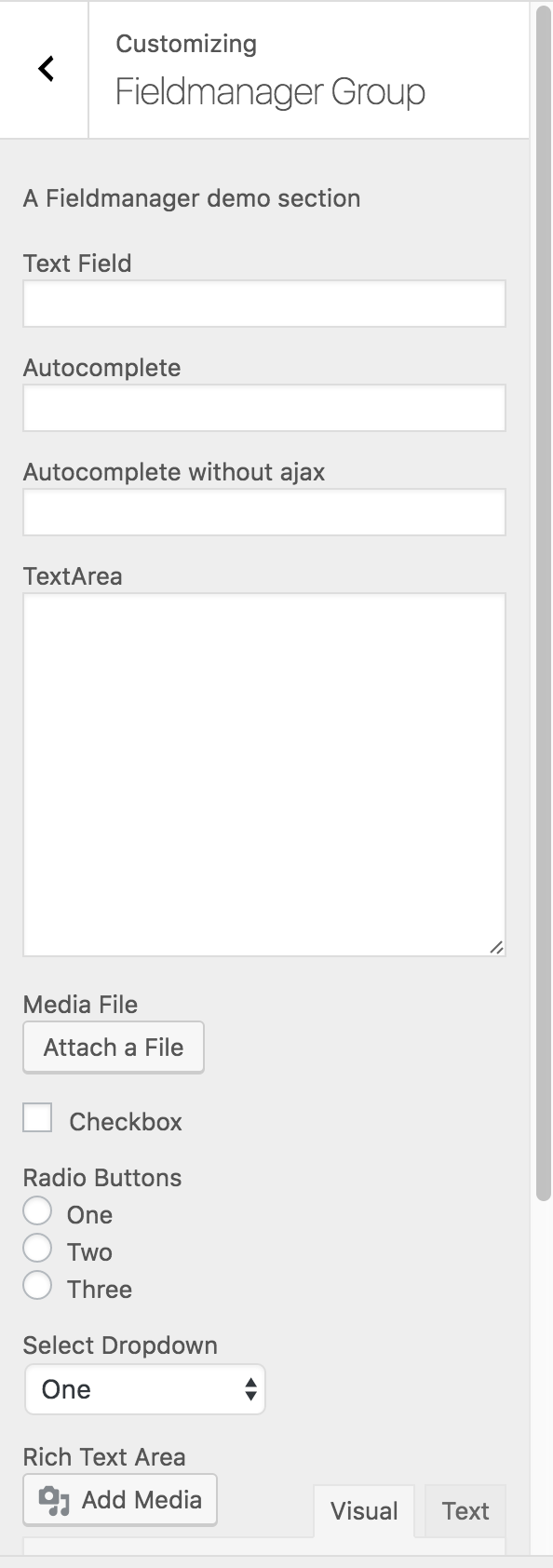 Fieldmanager fields in the Customizer.