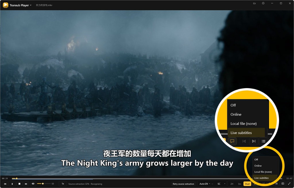 Transub Player — live dual subtitles while watching