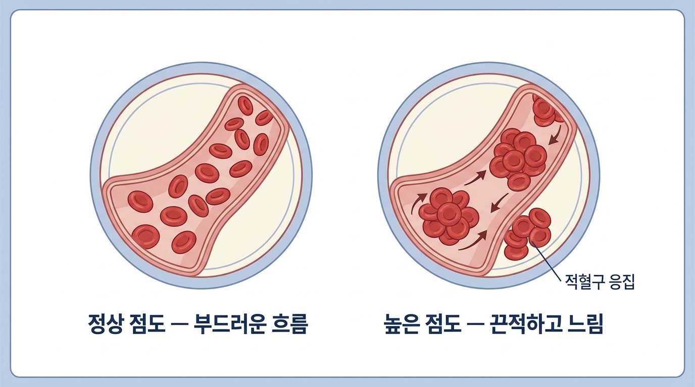 혈액점도 (Blood Viscosity)
