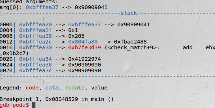 call_shellcode