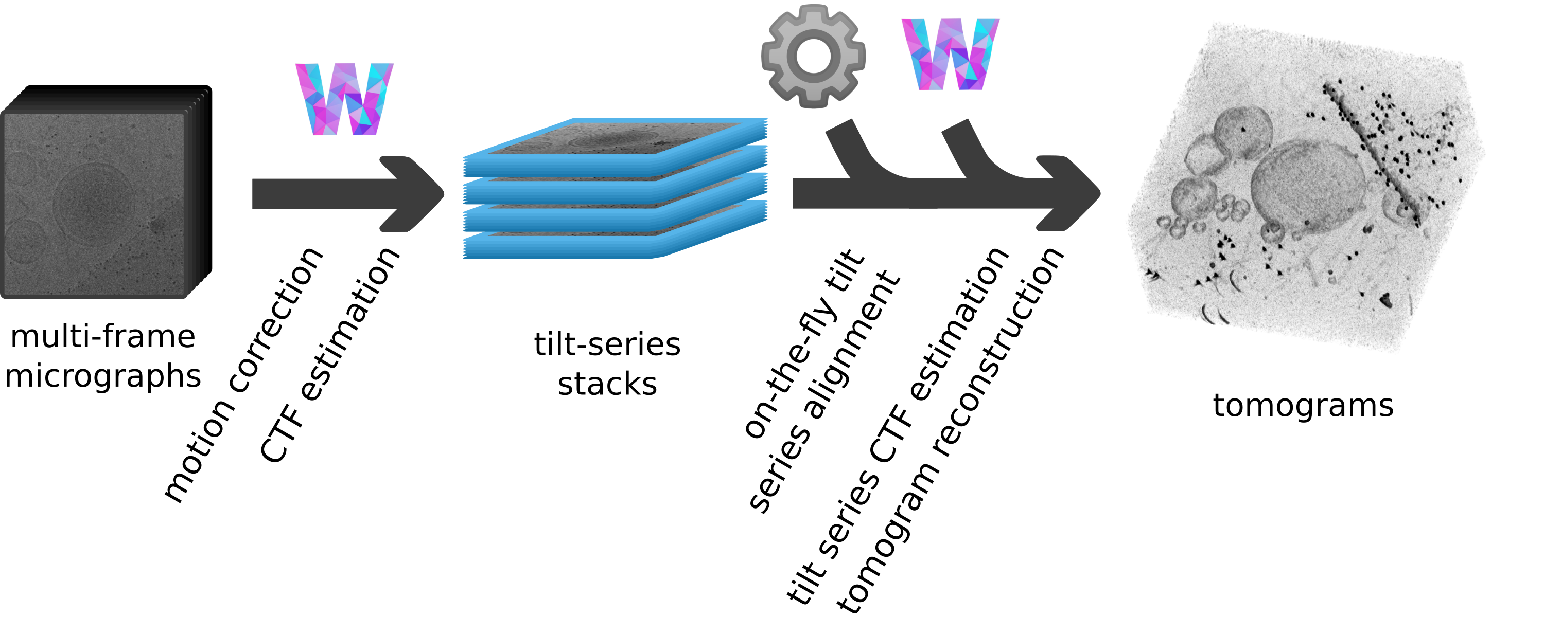 dautoalign4warp workflow overview