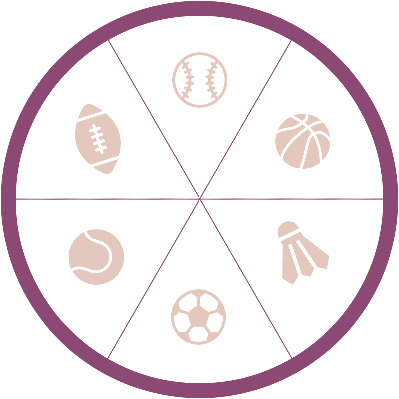 wheel_image_overlay