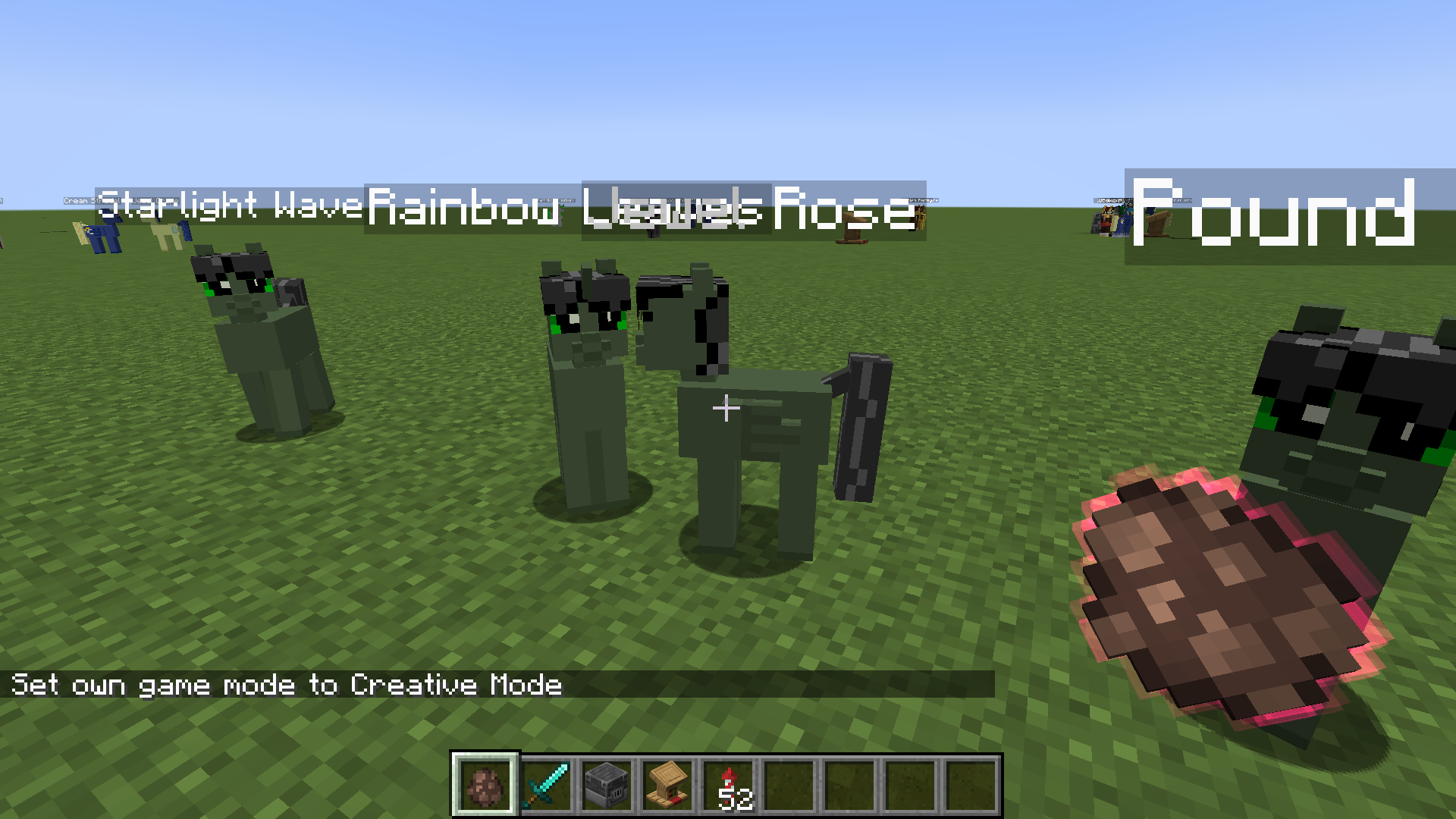 Разнообразие рас пони