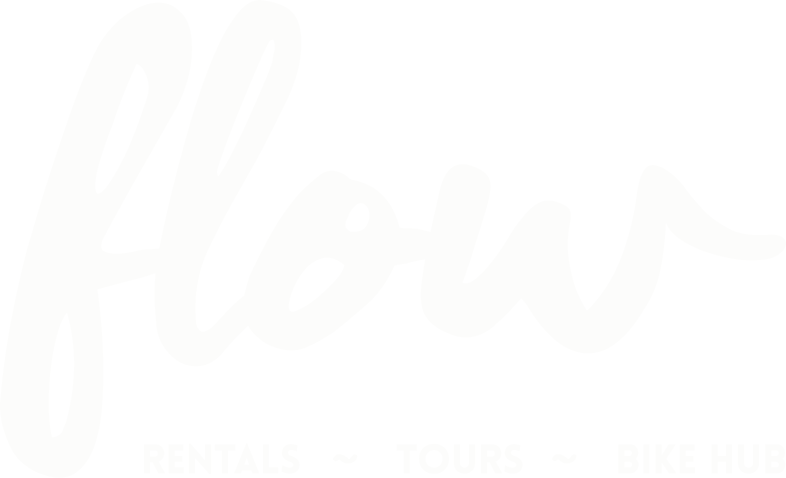 Bike & Water Flow — Rentals, Tours, Bike Hub