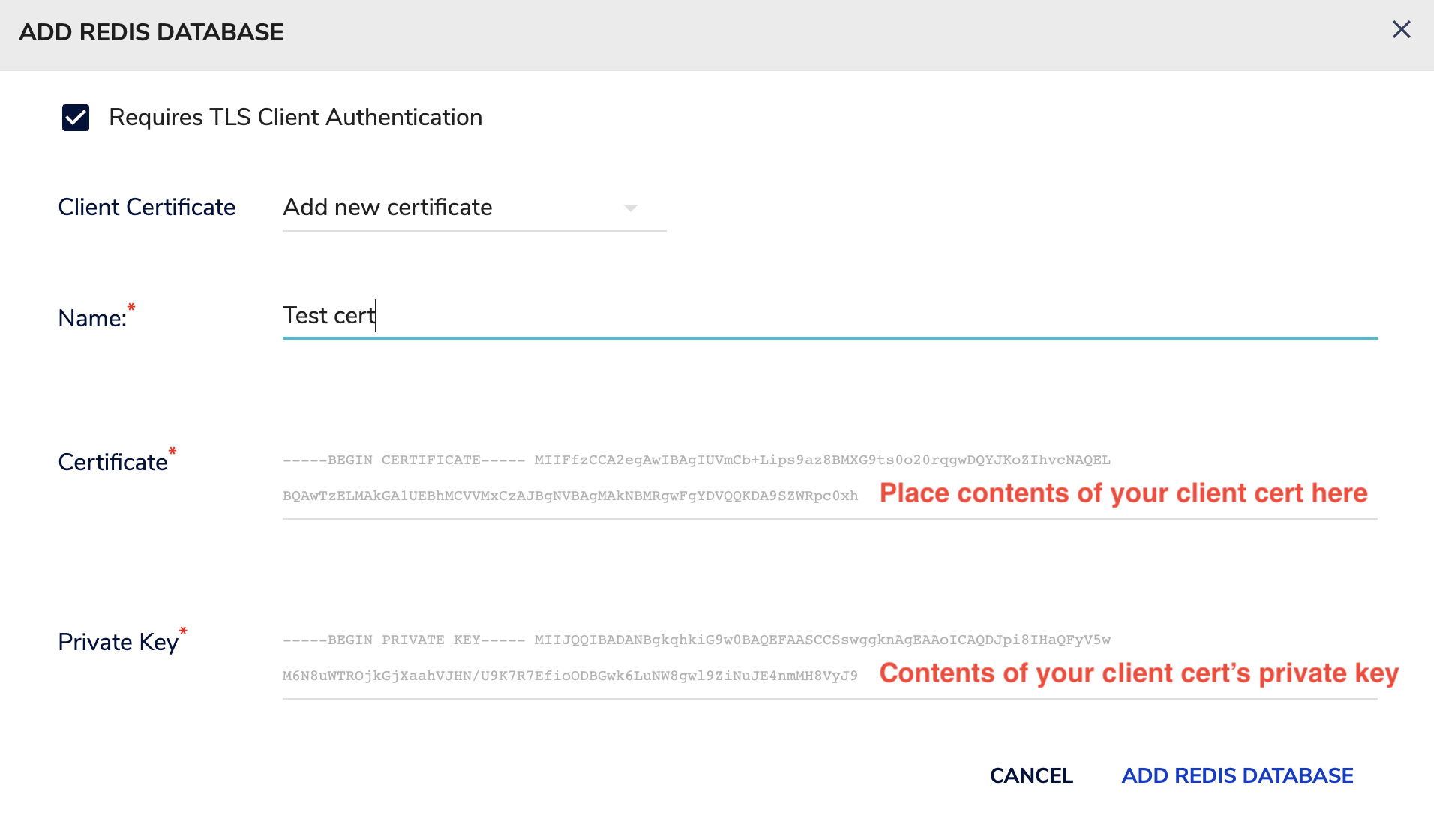 Client certificate config