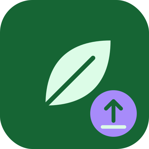 seedmagepp