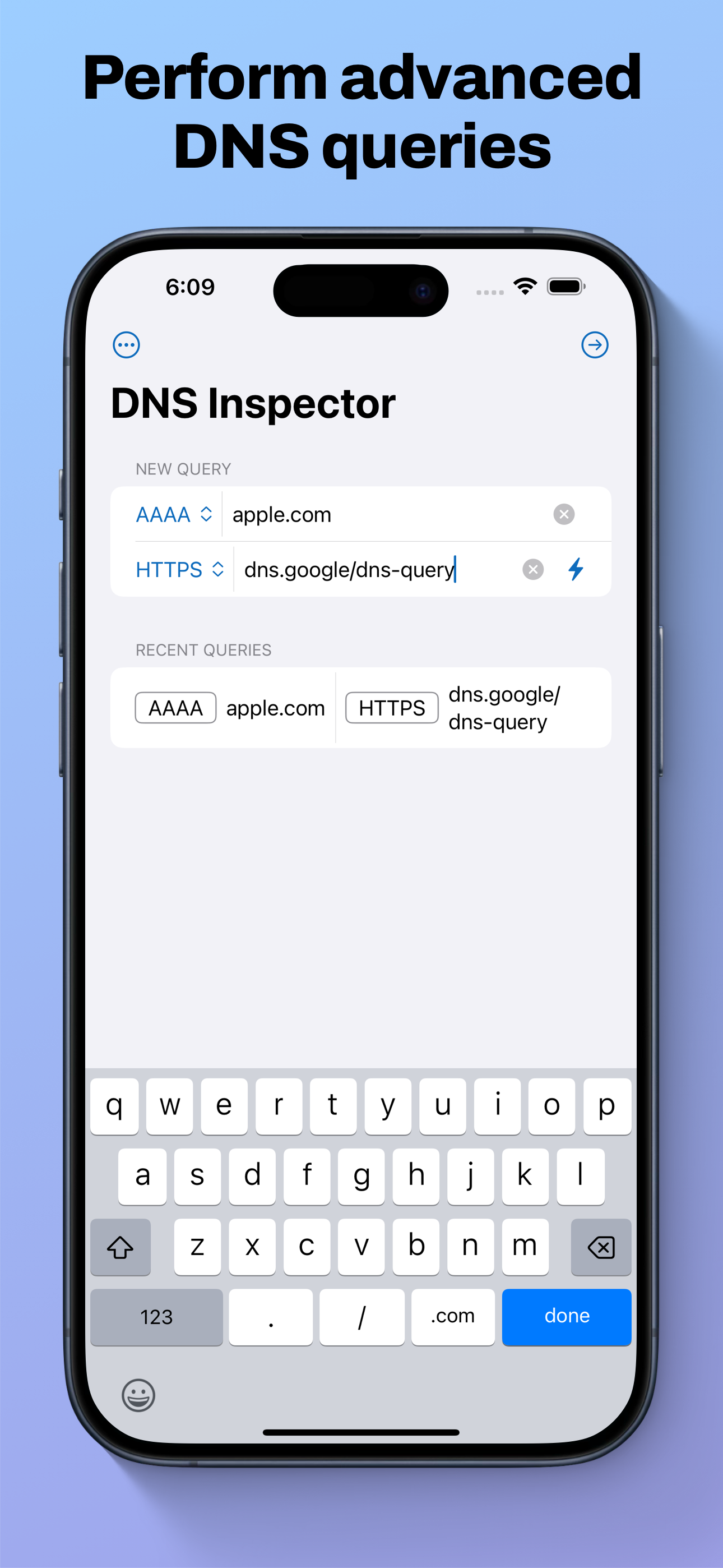Screenshot of DNS Inspector showing the main view