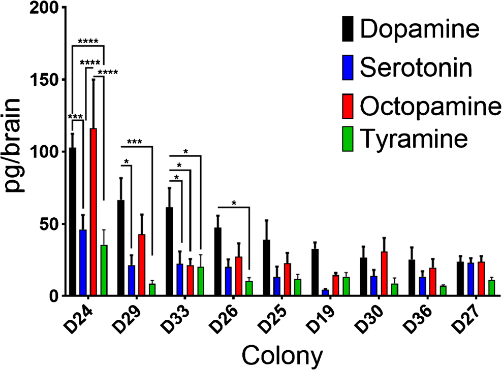 Figure from 2020_NeurotransmitterVariation, page 6