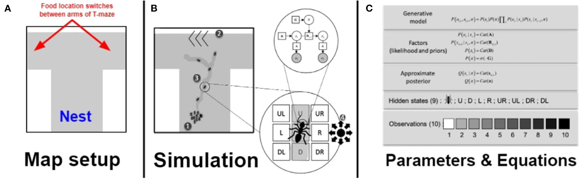 Figure from 2021_ActiveInferants, page 5