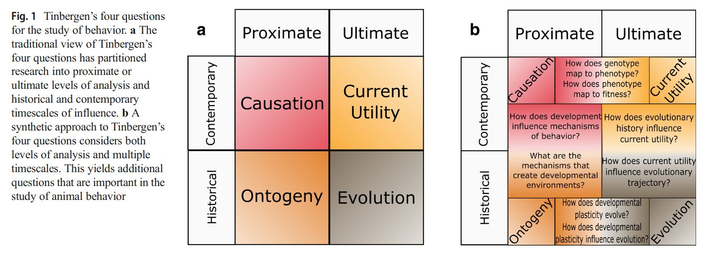 Figure from 2023_AntsAging, page 11