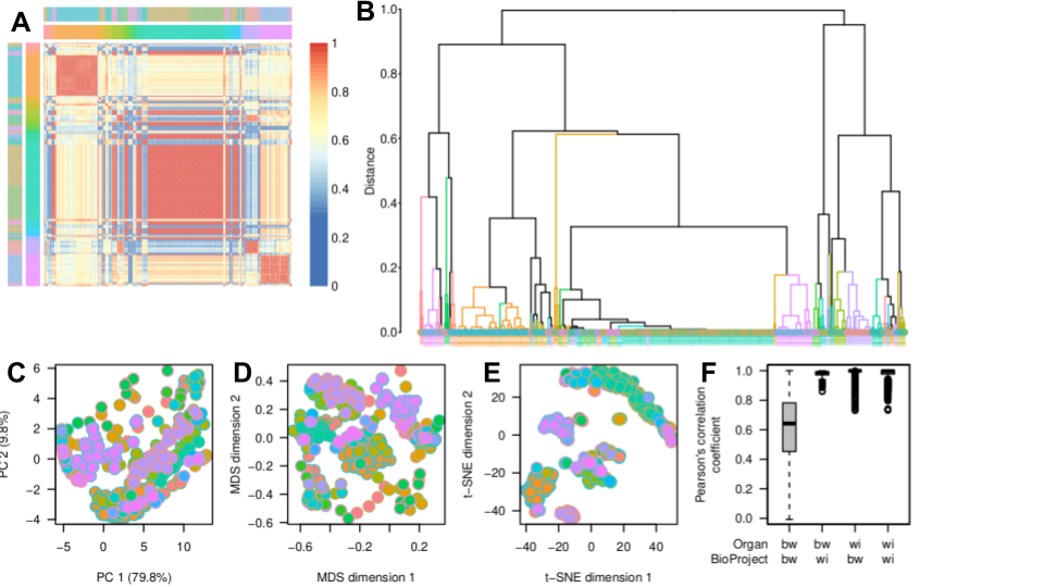 Figure from 2023_HoneyBeeGeneExpression, page 9
