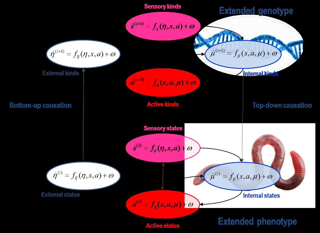 Figure from 2023_VariationalSynthesis, page 6