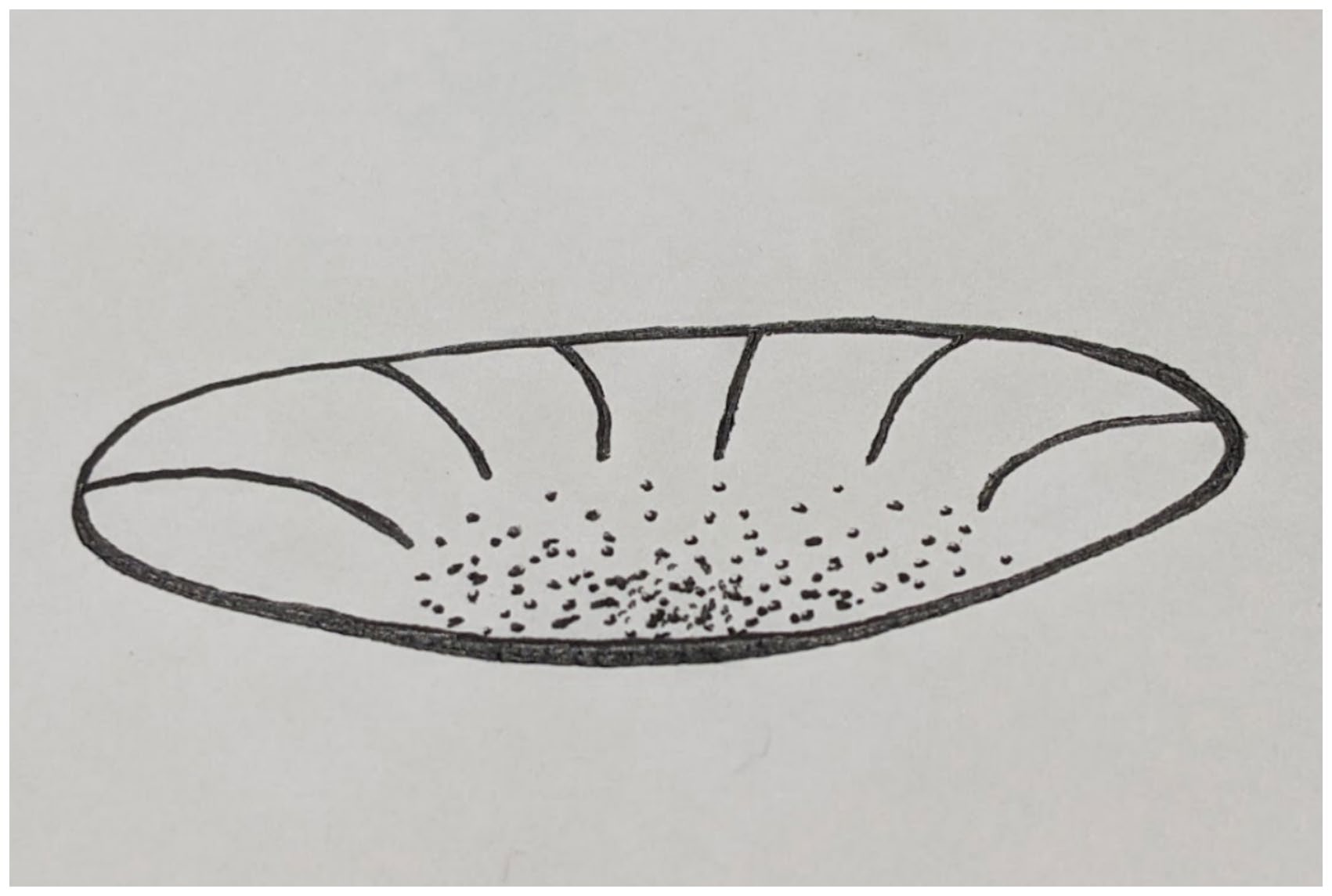 Figure from 2025_TemporalDepth, page 11