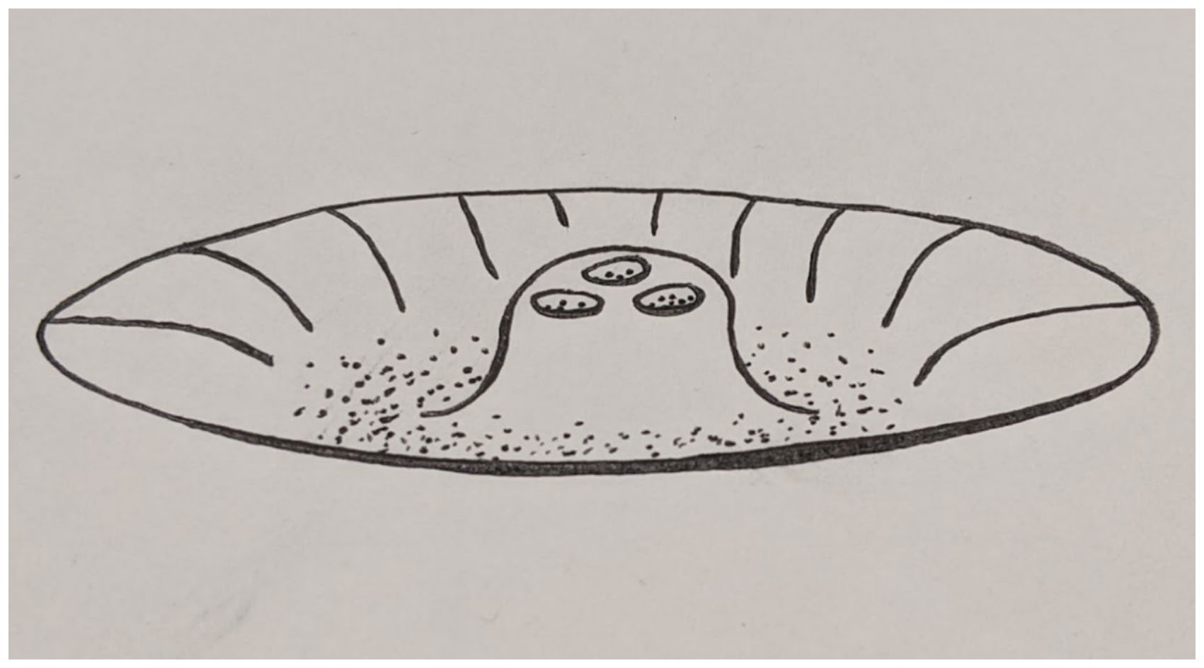 Figure from 2025_TemporalDepth, page 11