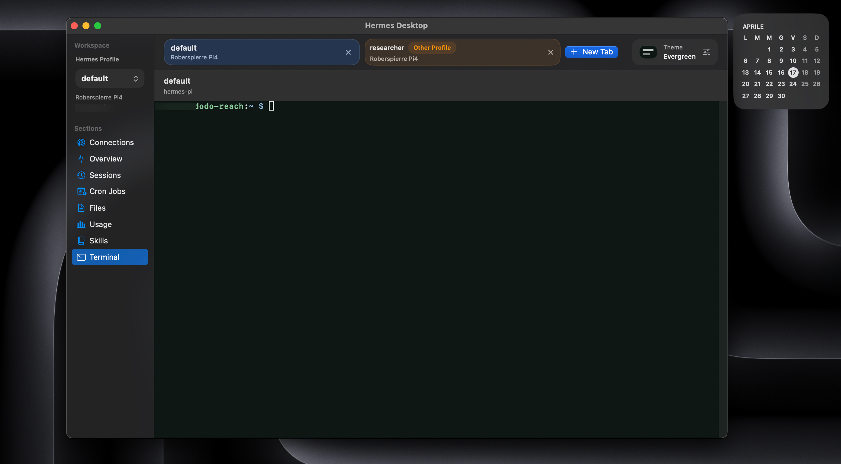 Hermes Desktop Terminal view