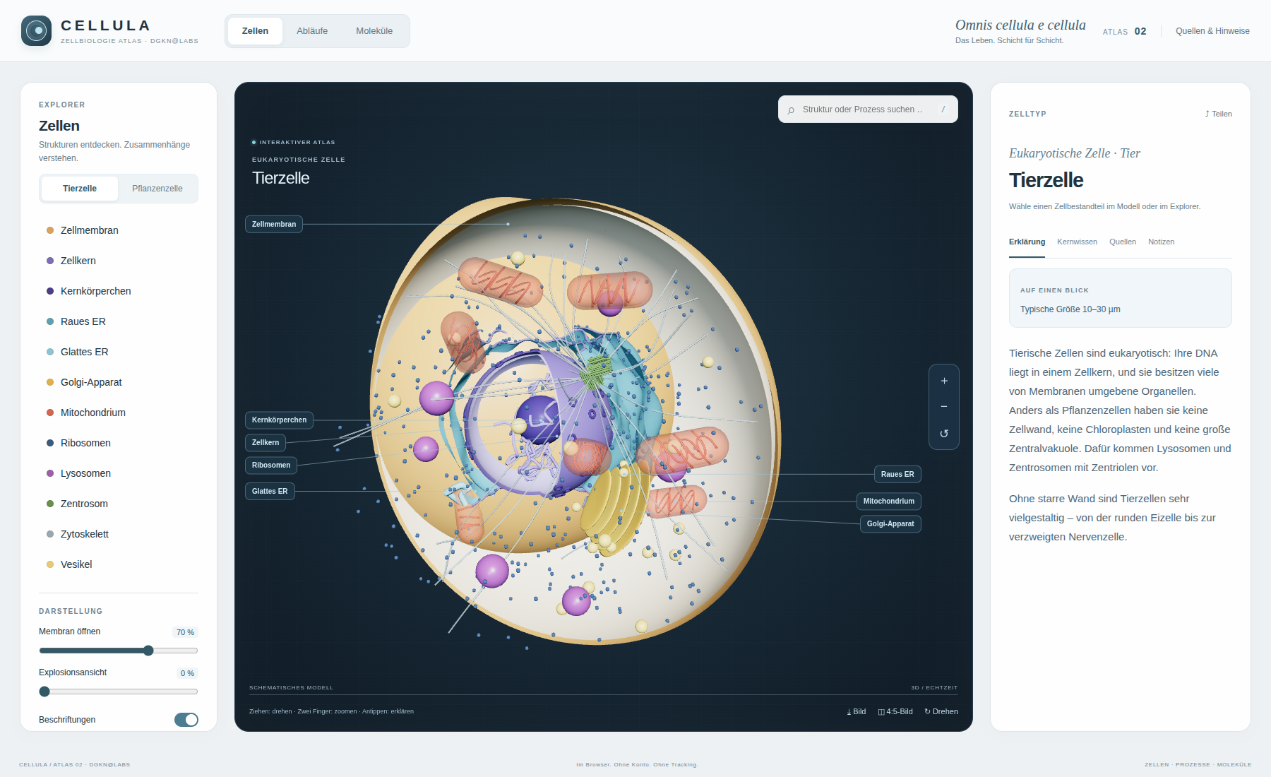 CELLULA — Screenshot aus dem Projekt