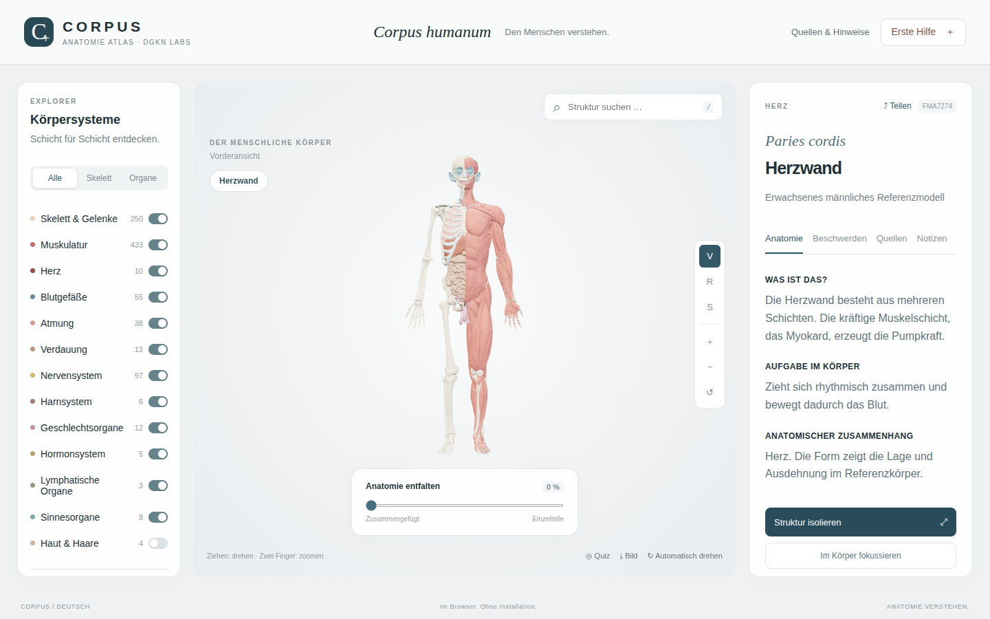 CORPUS — Screenshot aus dem Projekt