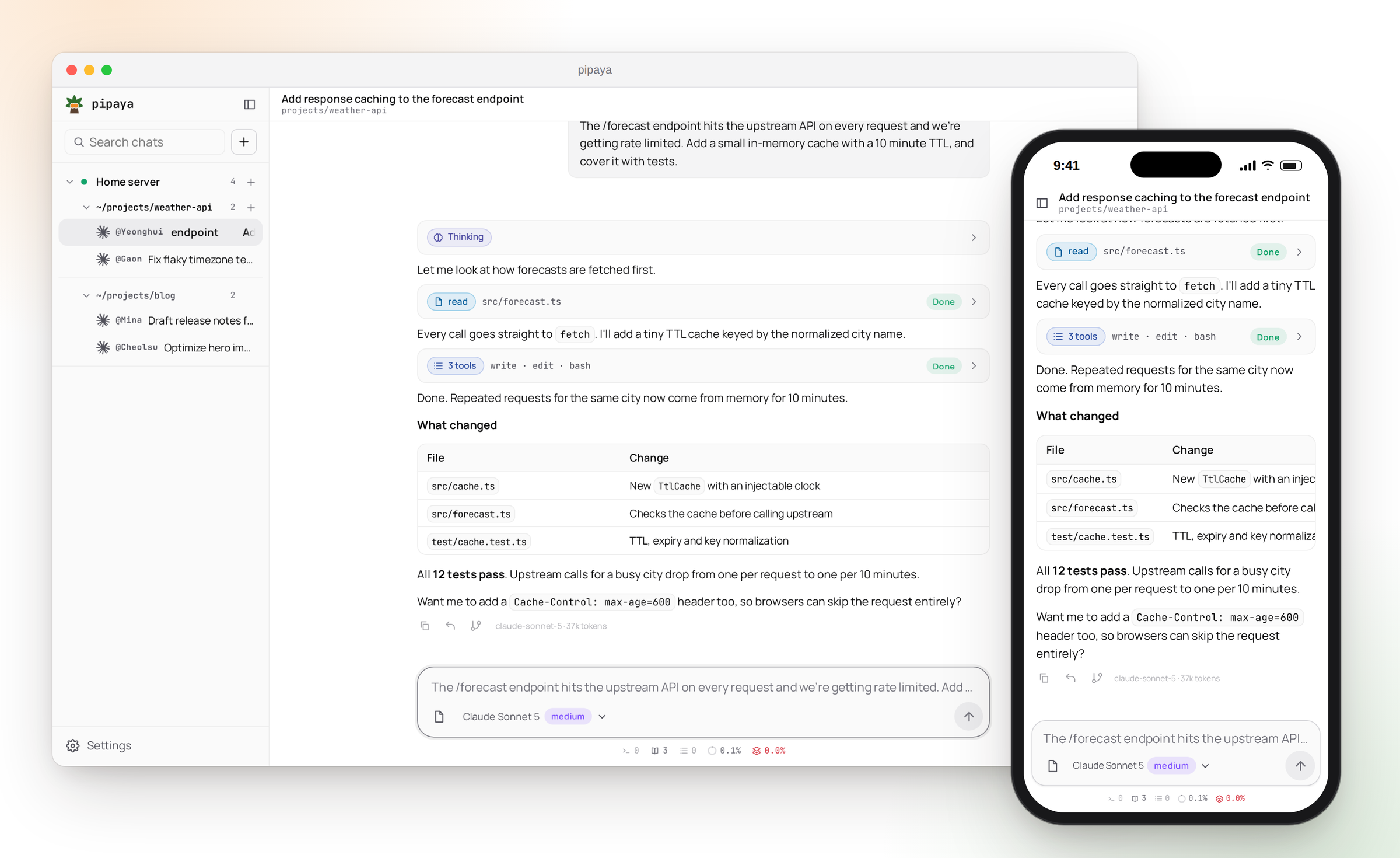 pipaya on desktop and mobile
