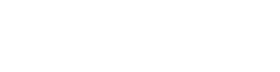 LAN Extender: Turn your LAN worlds into fully-fledged servers, for free.