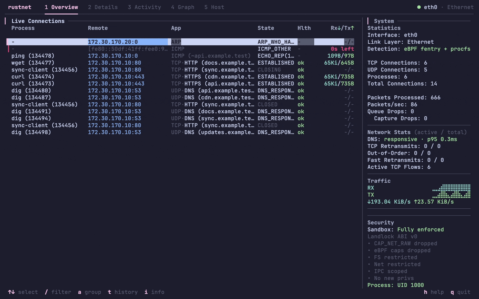 RustNet demo