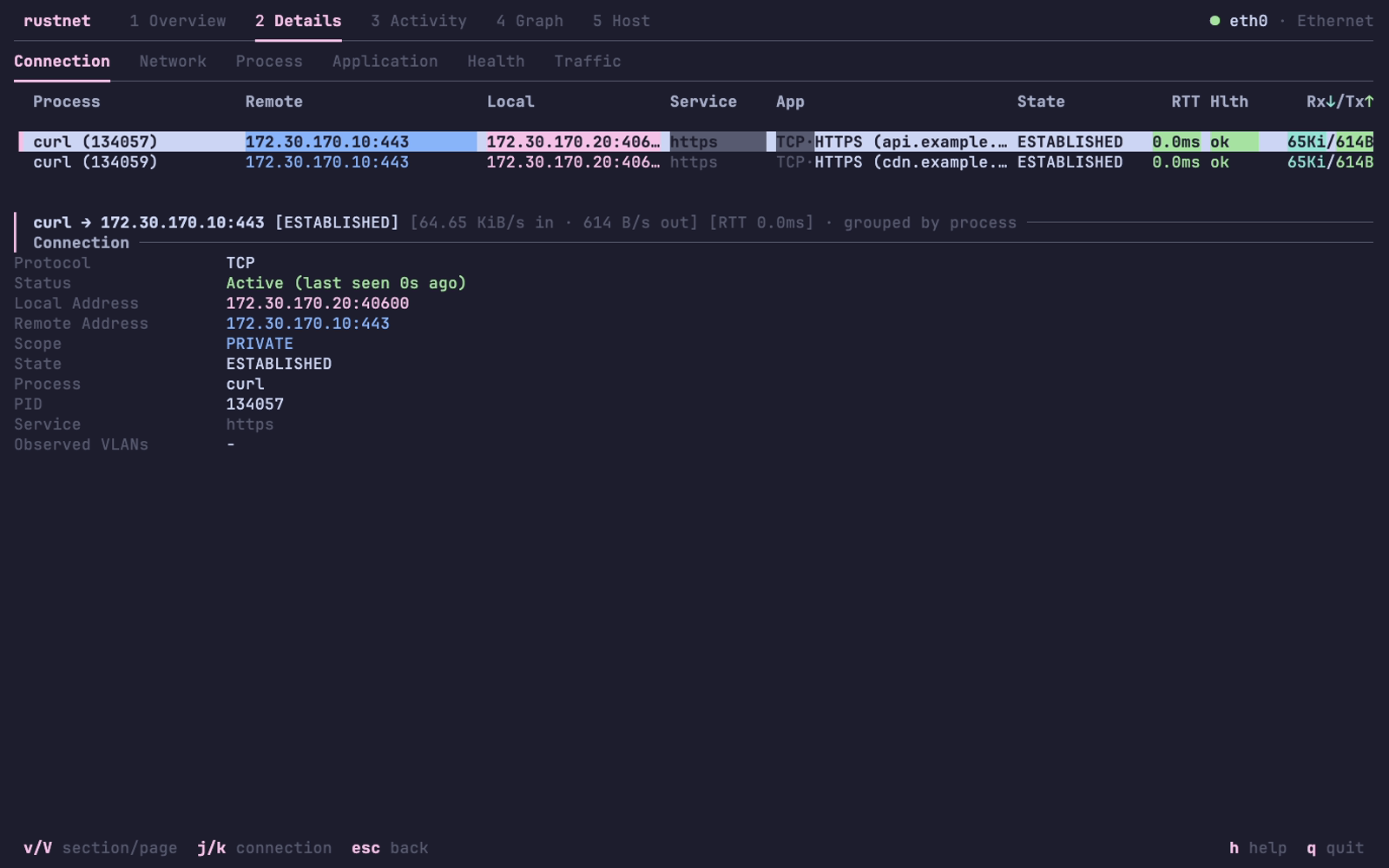 RustNet Details