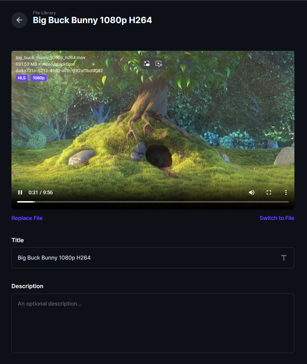 screenshot_files_detail_file