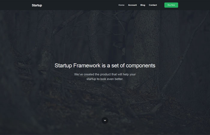 Free Bootstrap Template Sample by Designmodo